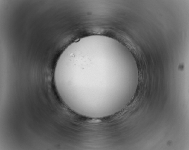 X0000102820374200808181030