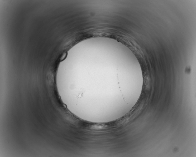 X0000102820375200808181030