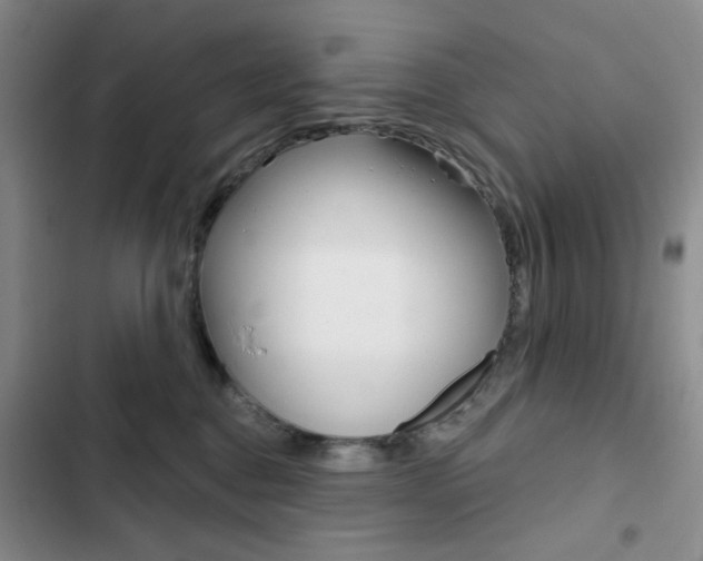 X0000102820376200808181030