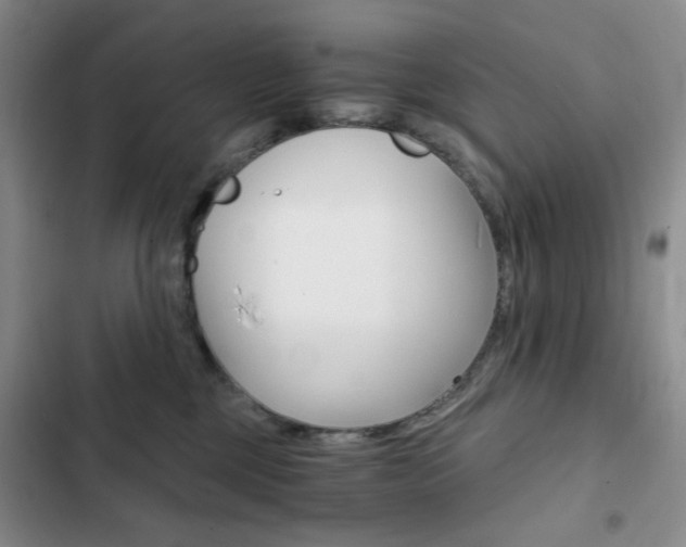 X0000102820377200808181030