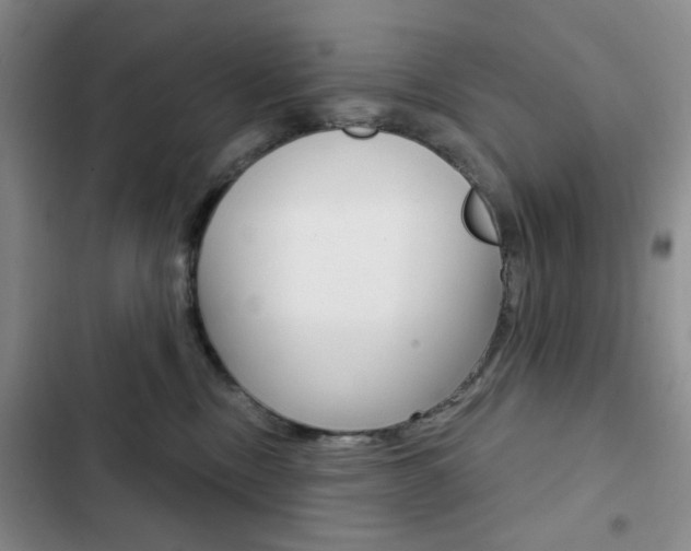 X0000102820378200808181030