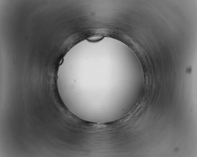X0000102820379200808181030