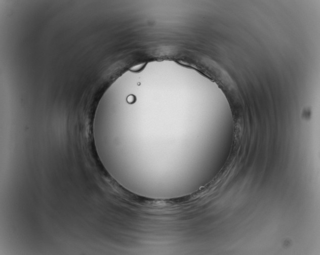 X0000102820380200808181030