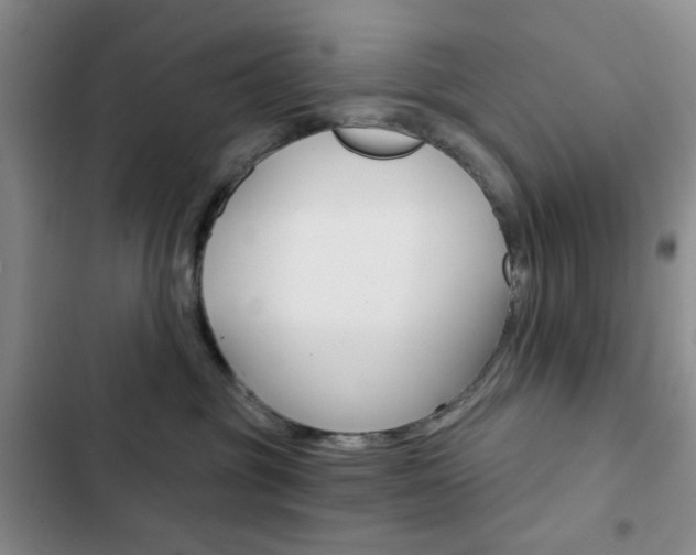 X0000102820381200808181030