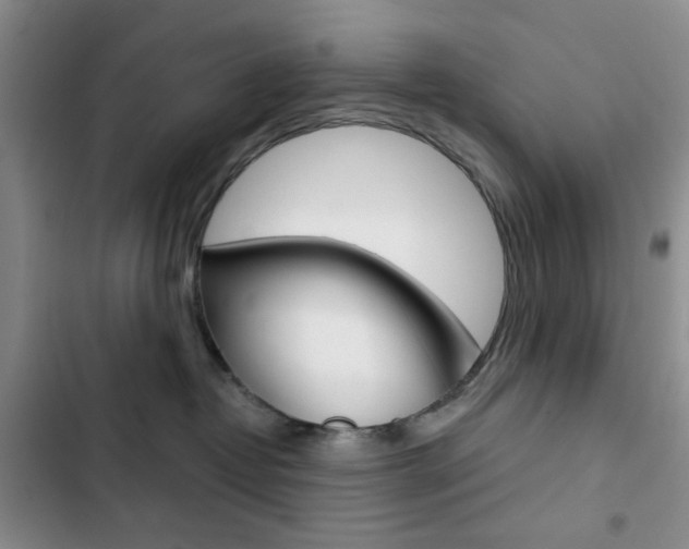 X0000102820382200808181031