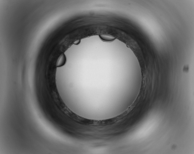 X0000102820383200808181031