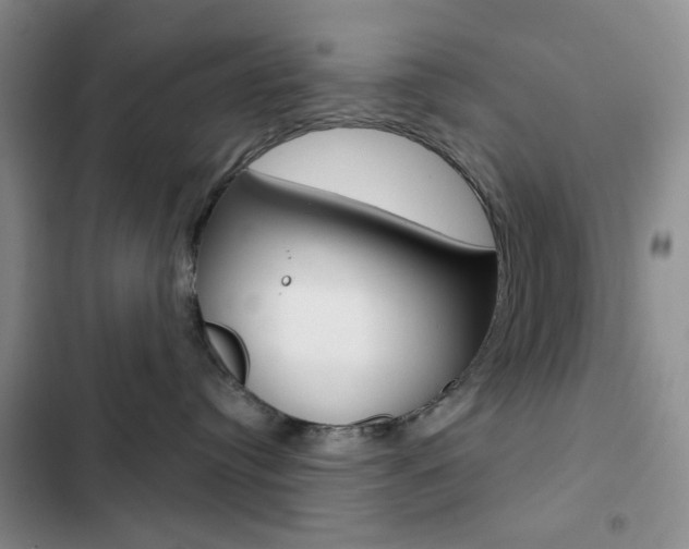 X0000102820384200808181031