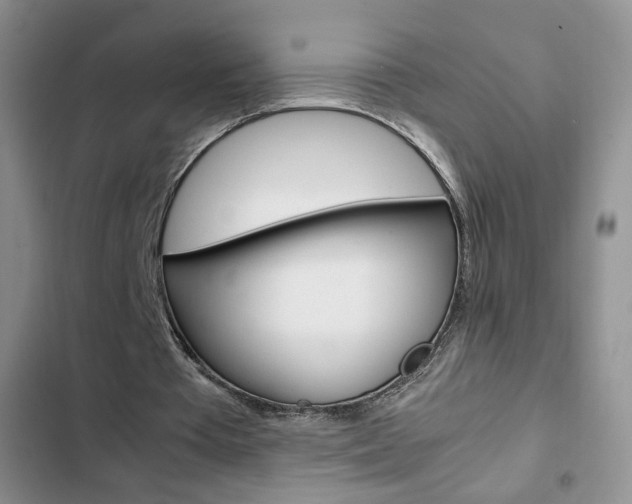 X0000102820385200808181030