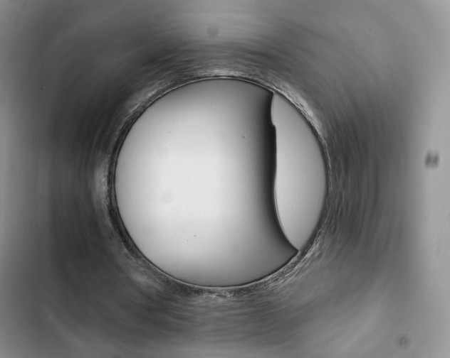 X0000102820386200808181030