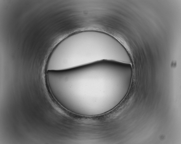 X0000102820389200808181030