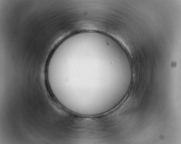 X0000102820390200808181030