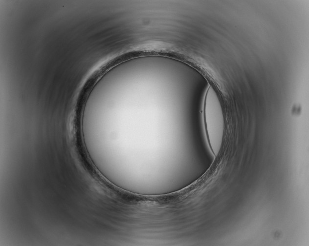 X0000102820392200808181030