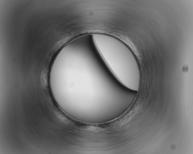 X0000102820393200808181030