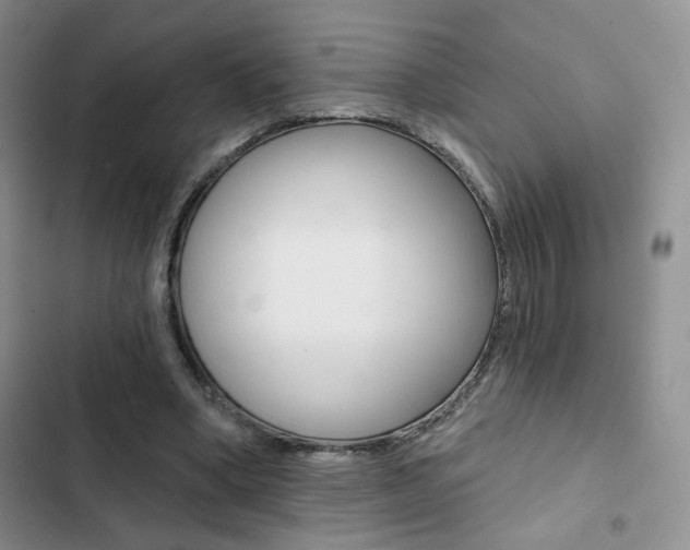 X0000102820394200808181030