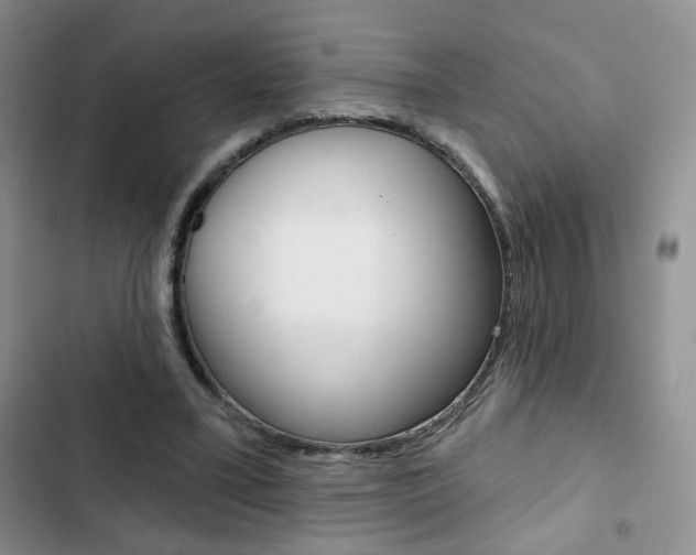 X0000102820395200808181030