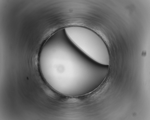 X0000102820397200808181030