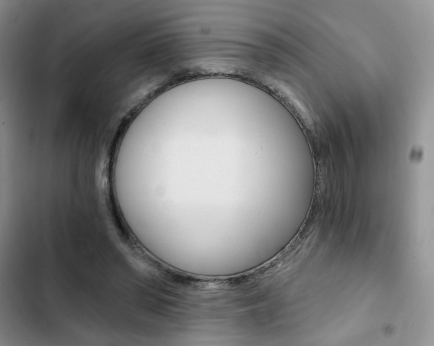 X0000102820398200808181030
