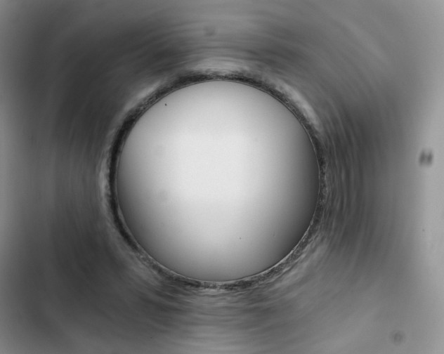 X0000102820399200808181030
