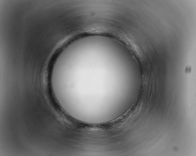 X0000102820400200808181029