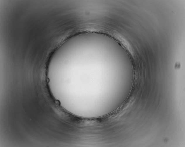 X0000102820401200808181029
