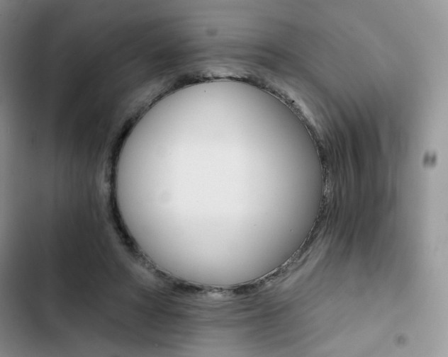 X0000102820402200808181029
