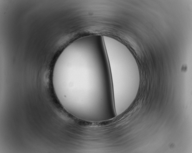 X0000102820404200808181029