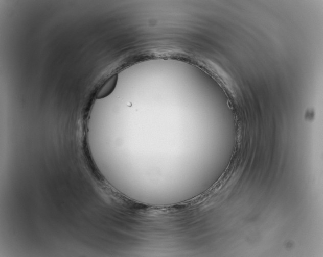 X0000102820405200808181029