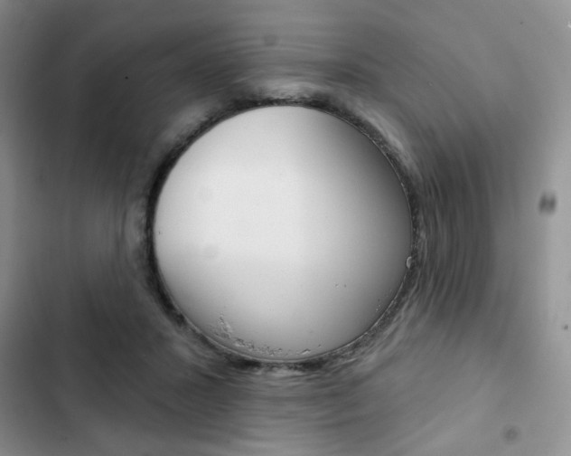 X0000102820407200808181029