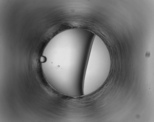 X0000102820408200808181029