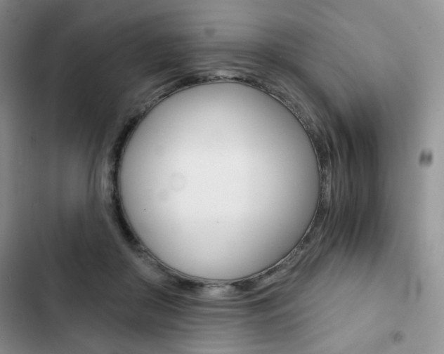 X0000102820410200808181029