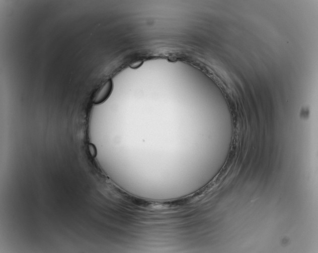 X0000102820413200808181029