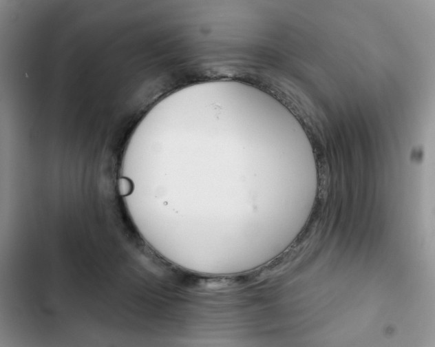 X0000102820414200808181029