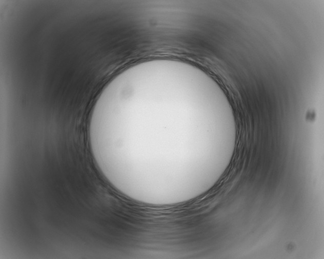 X0000102820415200808181029