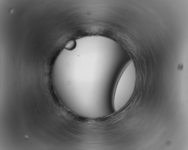 X0000102820416200808181029