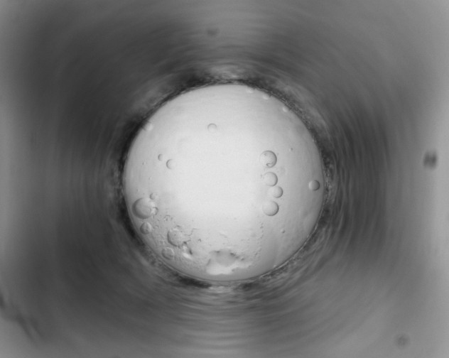 X0000102820418200808181029