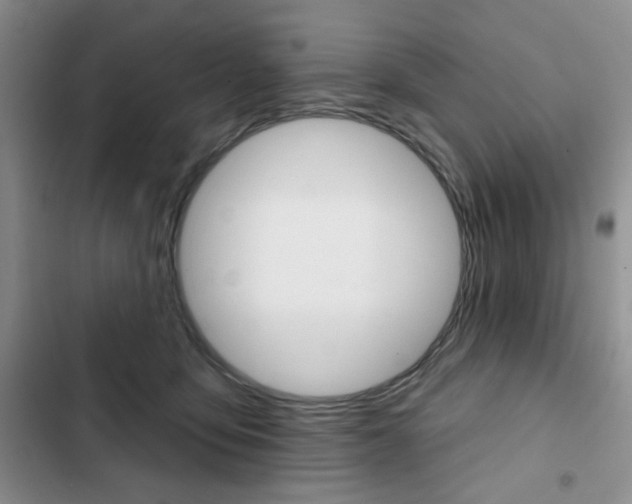 X0000102820419200808181029