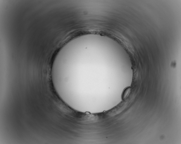 X0000102820421200808181029