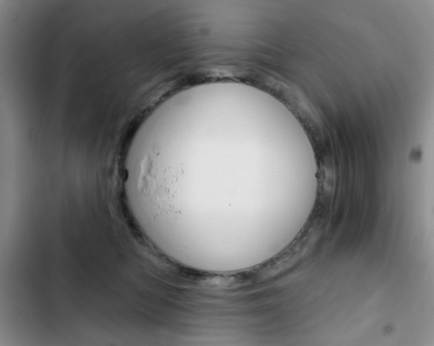 X0000102820422200808181029