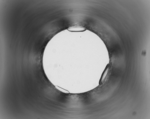 X0000102820423200808181029