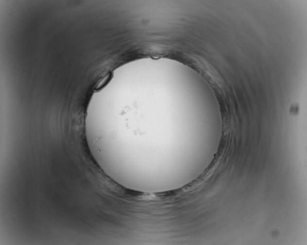 X0000102820425200808181029