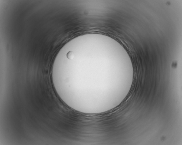 X0000102820427200808181029