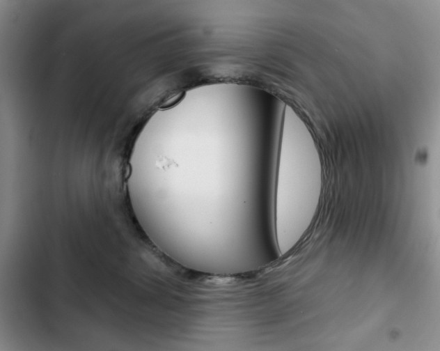 X0000102820428200808181029