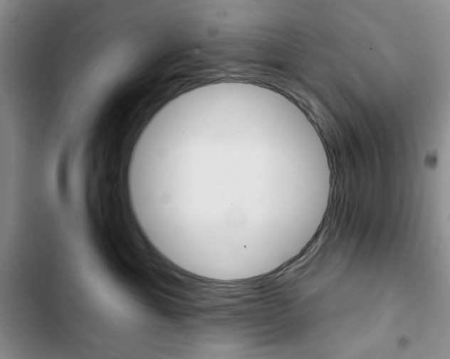 X0000102820429200808181029