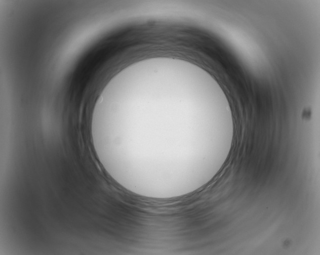 X0000102820431200808181029