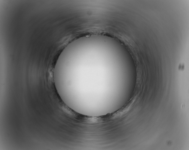 X0000102820432200808181029