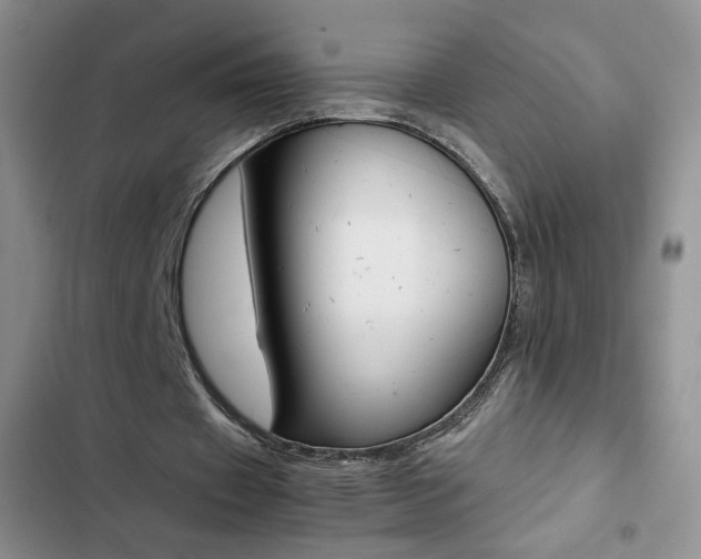 X0000102820433200808181028