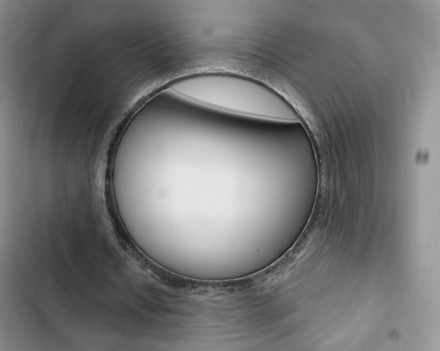 X0000102820434200808181028