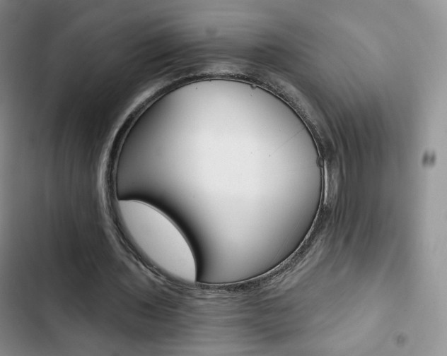 X0000102820435200808181028
