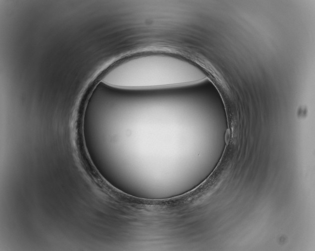 X0000102820436200808181028