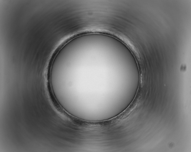 X0000102820438200808181028
